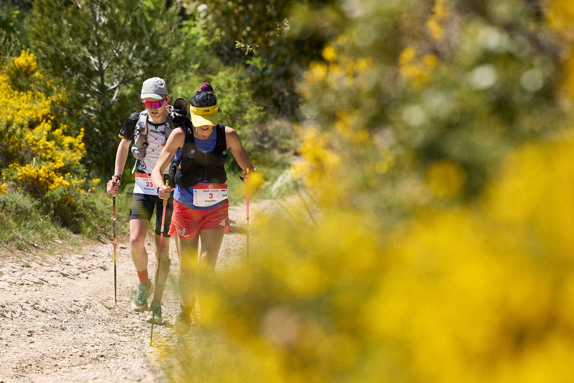 Deux coureurs sur un sentier bordé de genêts en fleurs
